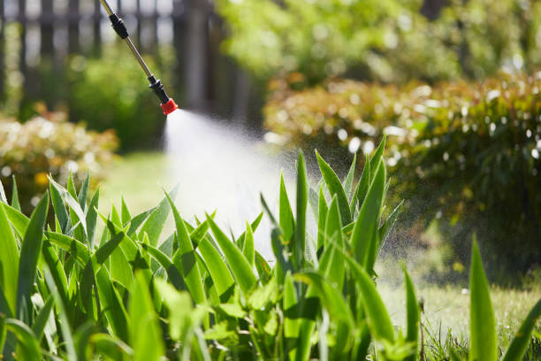 24/7 Emergency Mosquito Control experts in Utica, NE